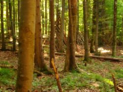 2013-07-20_Regina-F-Rau_Kochel-Rabenkopf (184).JPG